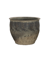 Water Planter