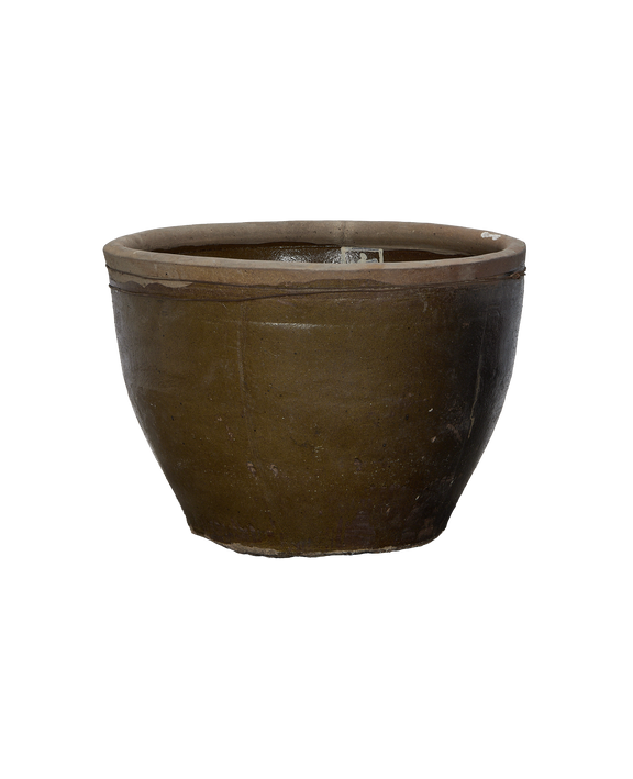 Mulberry Planter