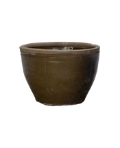 Mulberry Planter