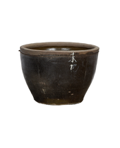 Mulberry Planter