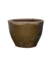 Mulberry Planter