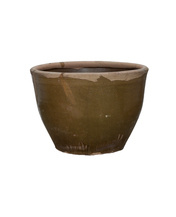 Mulberry Planter