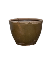 Mulberry Planter