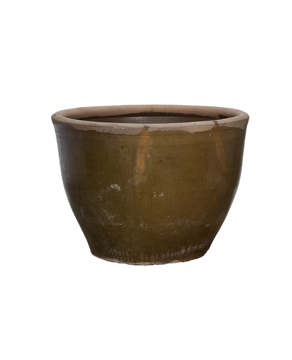 Mulberry Planter