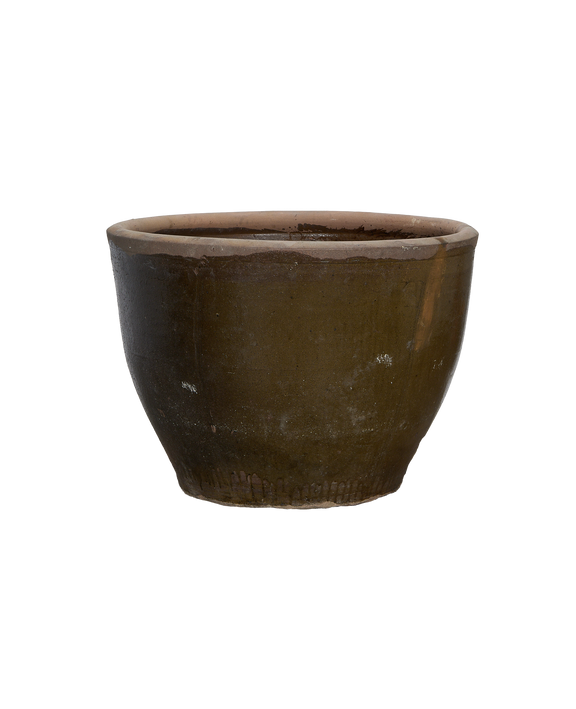 Mulberry Planter
