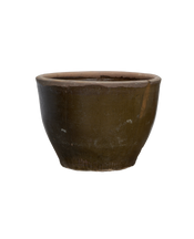 Mulberry Planter