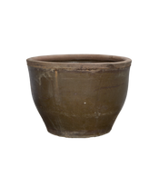 Mulberry Planter