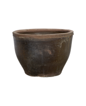Mulberry Planter
