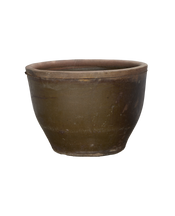 Mulberry Planter