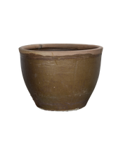 Mulberry Planter