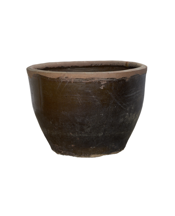 Mulberry Planter