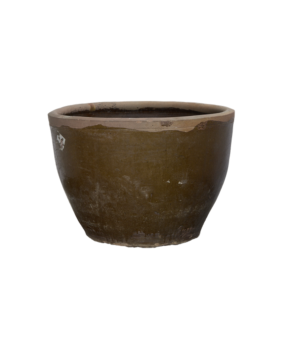 Mulberry Planter