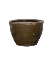 Mulberry Planter