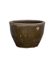 Mulberry Planter