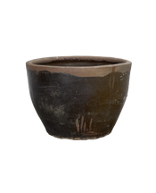 Mulberry Planter