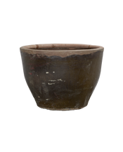 Mulberry Planter