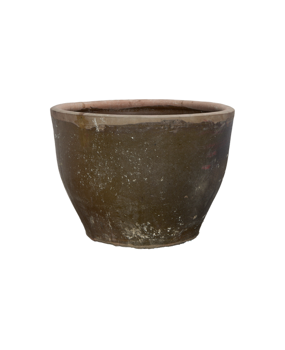 Mulberry Planter