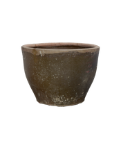 Mulberry Planter