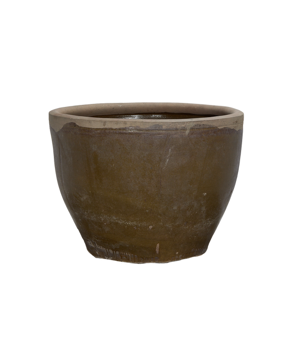 Mulberry Planter