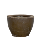 Mulberry Planter
