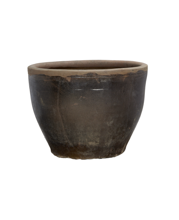 Mulberry Planter