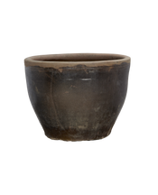 Mulberry Planter