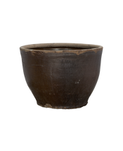 Mulberry Planter