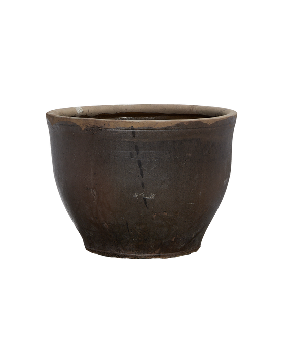 Mulberry Planter