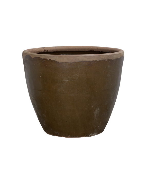 Mulberry Planter