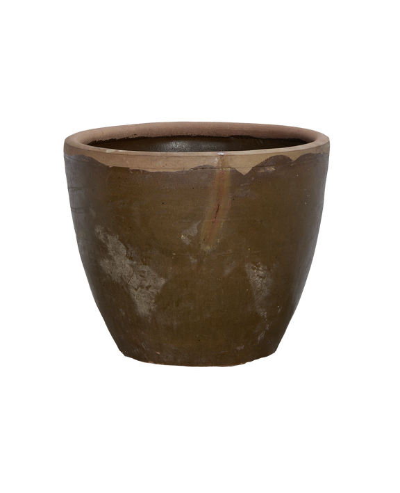 Mulberry Planter