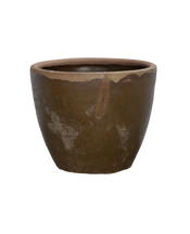 Mulberry Planter