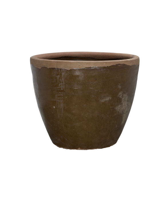 Mulberry Planter