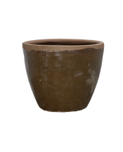 Mulberry Planter