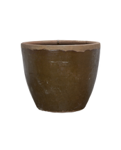 Mulberry Planter