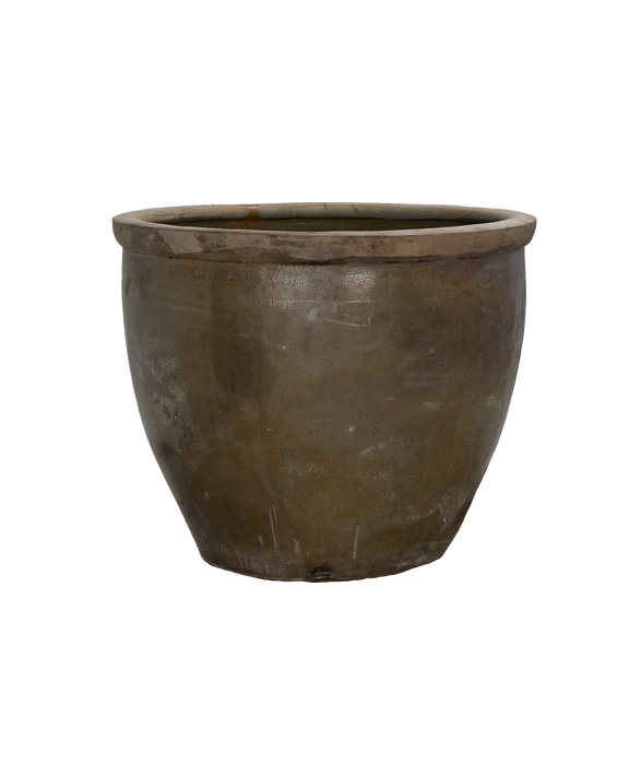 Mulberry Planter