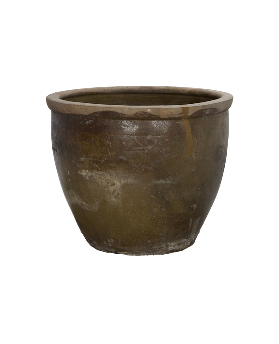 Mulberry Planter