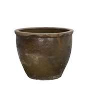 Mulberry Planter