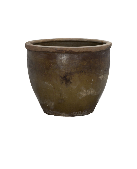 Mulberry Planter