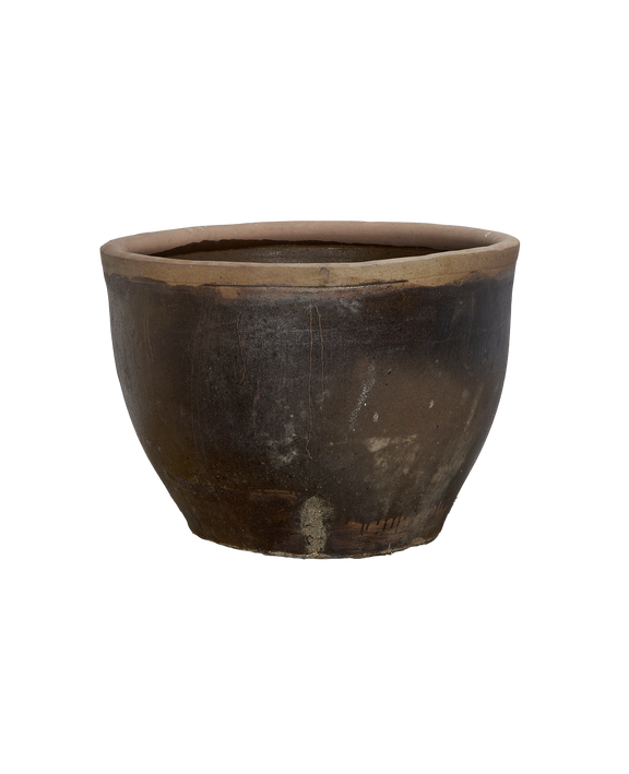 Mulberry Planter