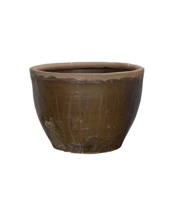 Mulberry Planter