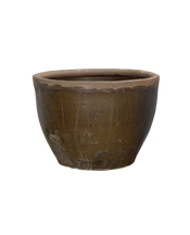 Mulberry Planter