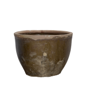 Mulberry Planter