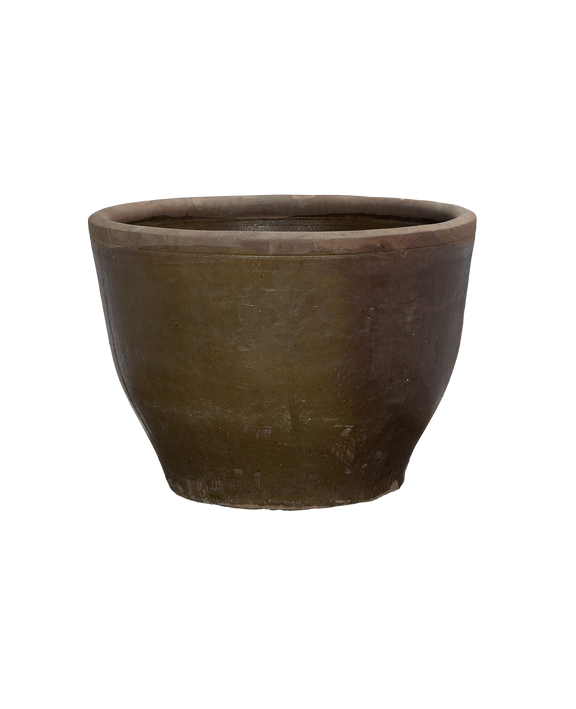 Mulberry Planter
