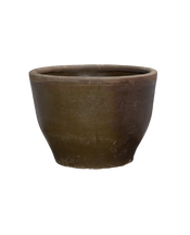 Mulberry Planter