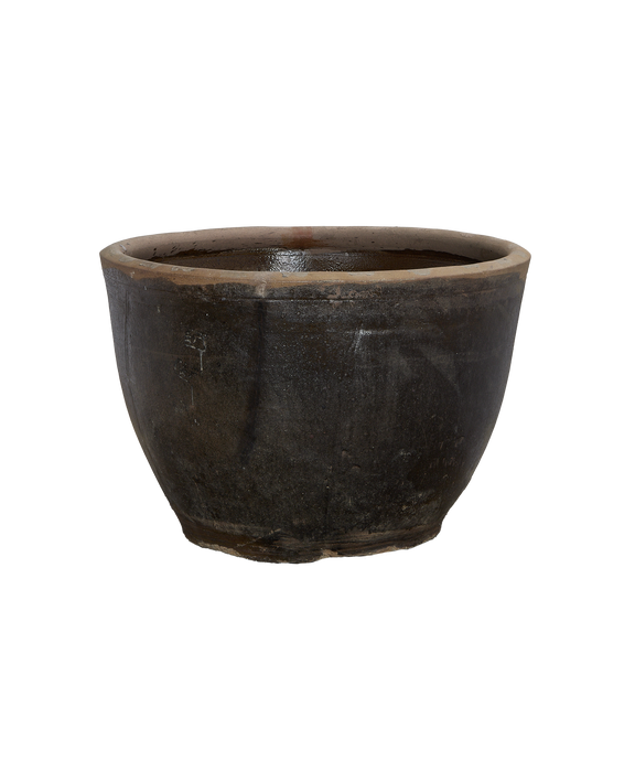 Mulberry Planter