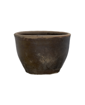 Mulberry Planter