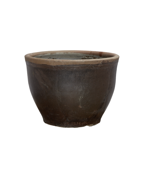 Mulberry Planter