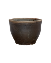 Mulberry Planter