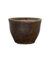 Mulberry Planter