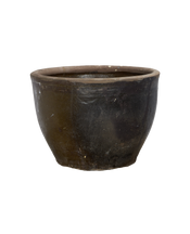 Mulberry Planter
